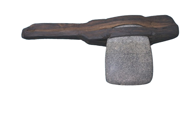aam006